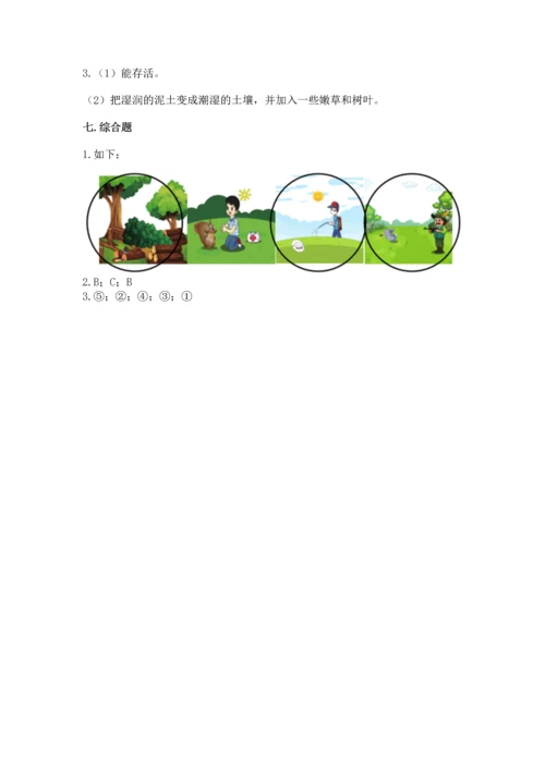 教科版小学二年级上册科学期末测试卷（模拟题）.docx