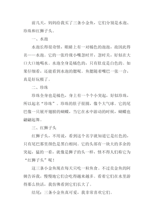 小金鱼作文结尾.docx