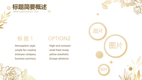 公司品牌营销策划方案工作总结PPT