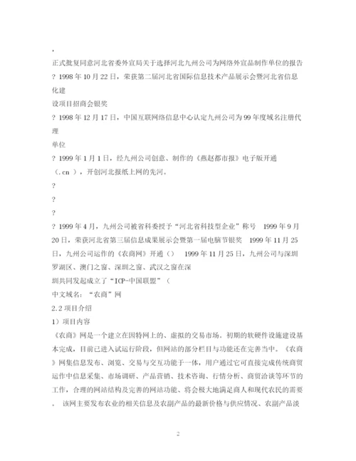 精编之网站商业计划书.docx