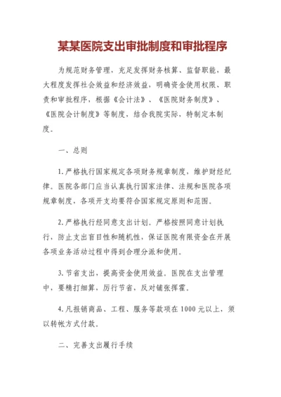 某某医院支出审批制度和审批程序.docx