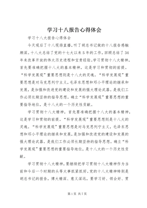 学习十八报告心得体会 (3).docx