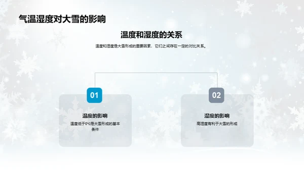 应对大雪的全面策略