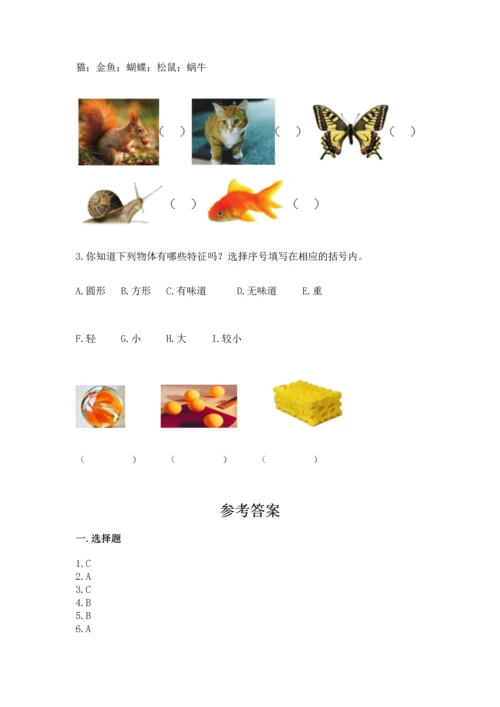 教科版一年级下册科学期末测试卷精品（b卷）.docx