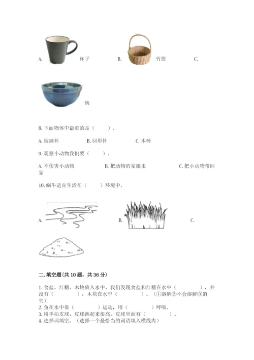 教科版一年级下册科学期末测试卷附完整答案（夺冠系列）.docx