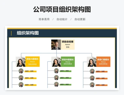 公司项目组织架构图