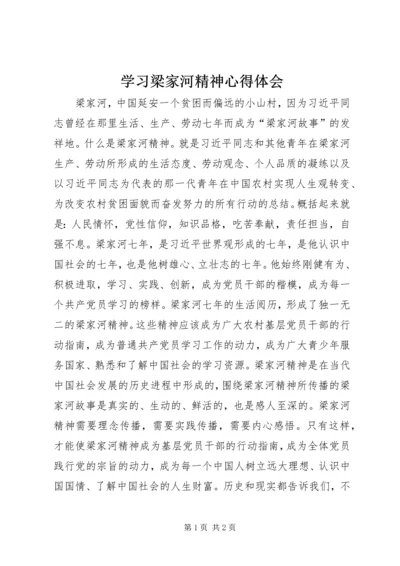 学习梁家河精神心得体会.docx