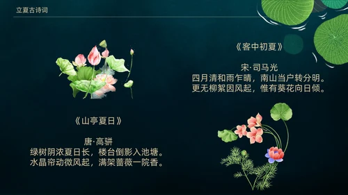立夏荷叶绿色清新夏天通用PPT模板