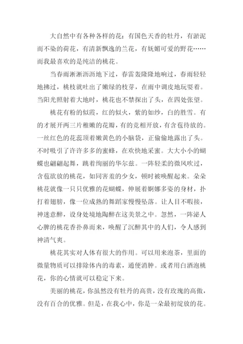 小学生描写桃花的作文.docx