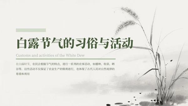 绿色中国风白露节气主题班会PPT模板