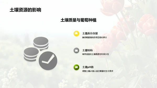 绿色葡萄：未来可持续