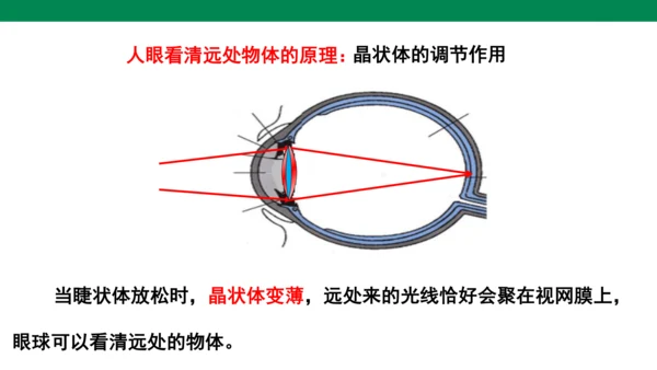 人教版第五章透镜及其应用第4节眼睛和眼镜 课件 (共23张PPT)