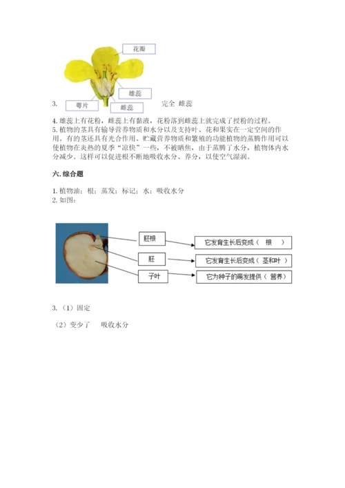 科学四年级下册第一单元植物的生长变化测试卷及答案【真题汇编】.docx