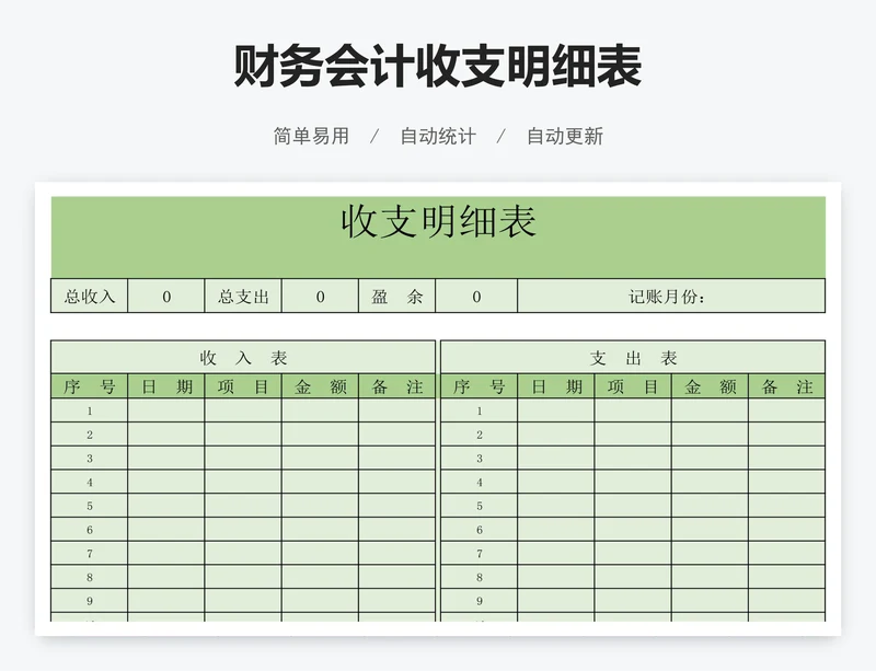 财务会计收支明细表