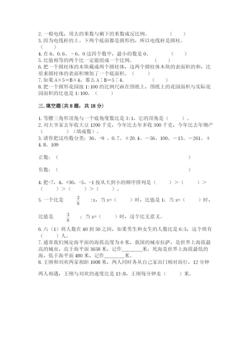 小升初数学期末测试卷（名师系列）.docx