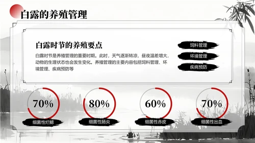 黑白色中国风白露节气学校主题班会PPT模板