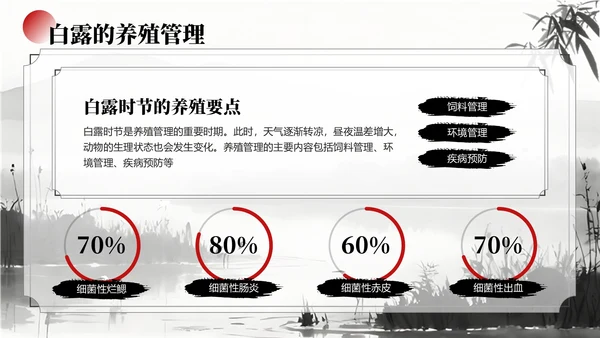 黑白色中国风白露节气学校主题班会PPT模板