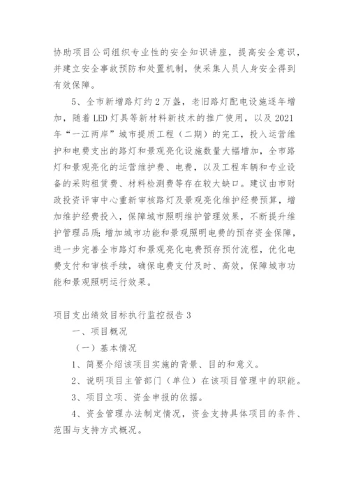 项目支出绩效目标执行监控报告.docx