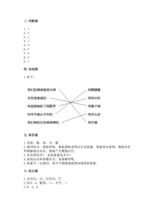 教科版一年级下册科学期末测试卷（夺冠）word版.docx