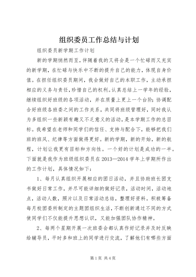 组织委员工作总结与计划 (4).docx