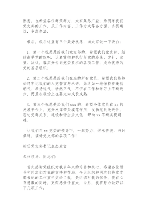 新任党支部书记表态发言.docx