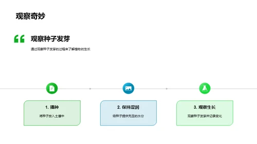 植物生长的奇妙之旅