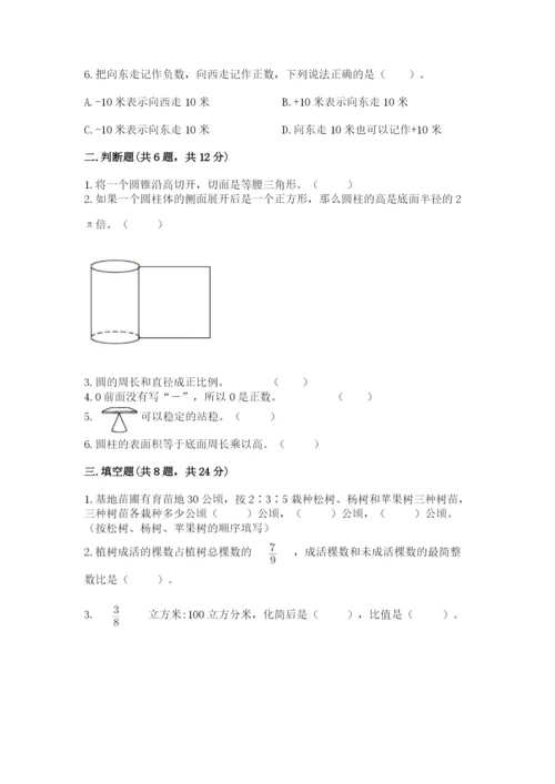 新田县六年级下册数学期末测试卷完整版.docx