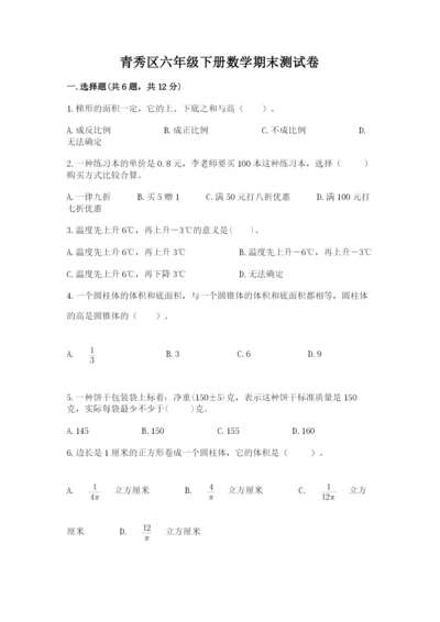 青秀区六年级下册数学期末测试卷有精品答案.docx