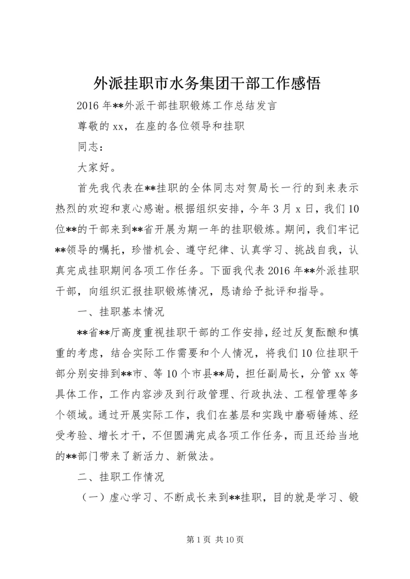 外派挂职市水务集团干部工作感悟_1 (3).docx