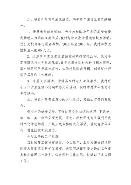 共青团村支部第三届委员会工作报告.docx