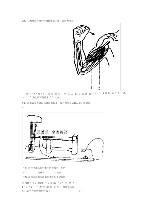 初二生物第二单元第3章测试题