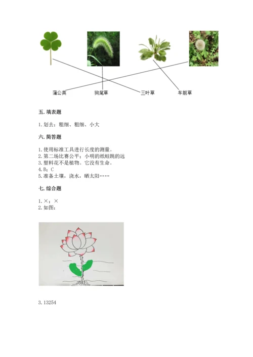 教科版一年级上册科学期末测试卷附参考答案【研优卷】.docx