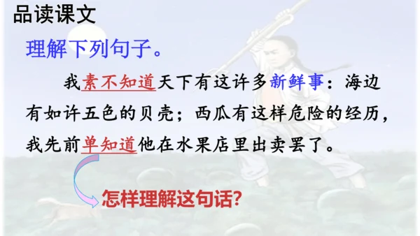 第25课 《少年闰土》  课件