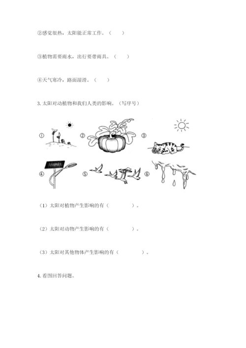 教科版科学二年级上册期末考试试卷（综合题）.docx