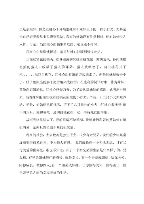 《野犬女皇》读后感11篇野犬女皇的道理