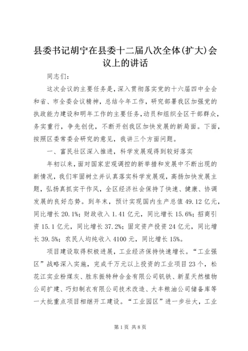 县委书记胡宁在县委十二届八次全体(扩大)会议上的讲话 (4).docx