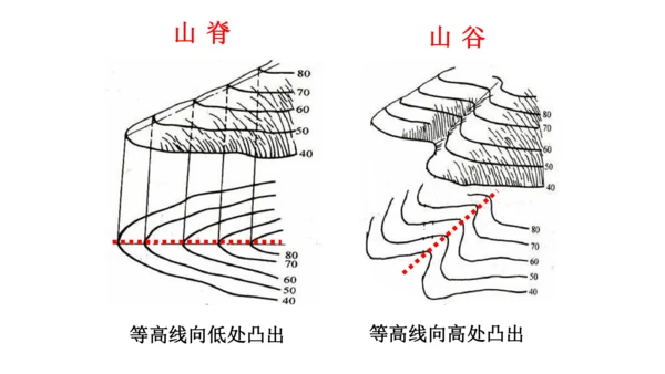 初中历史与社会 人文地理七年级上册期末复习课件