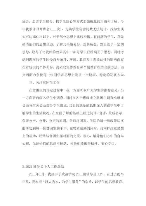 2022辅导员个人工作总结5篇.docx
