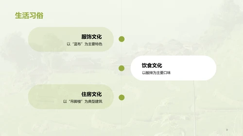 绿色现代苗族文化概览培训课件PPT模板