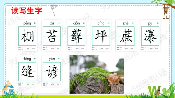 第16课《夏天里的成长》教学课件