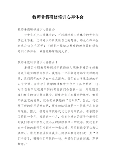 教师暑假研修培训心得体会.docx