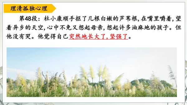 第17课《孤独之旅》课件