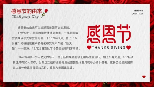 红色玫瑰温馨爱在感恩节感恩节介绍PPT