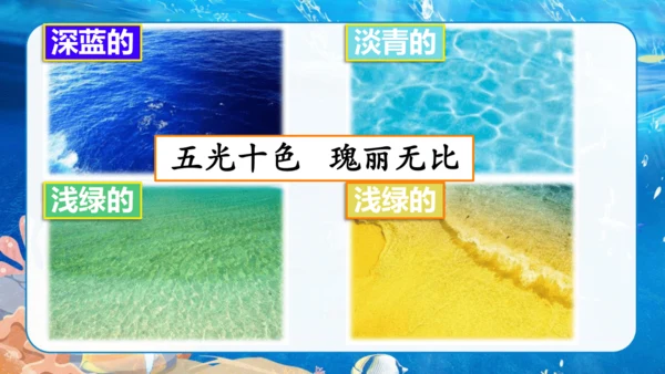 第18课《富饶的西沙群岛》课件