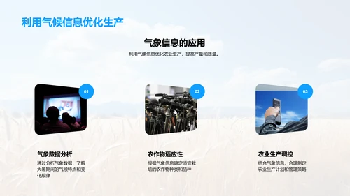 大暑农业生产