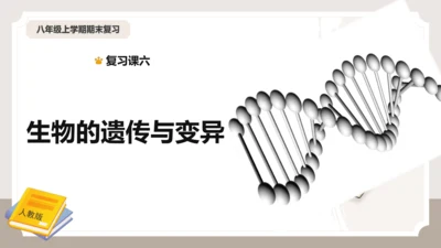 复习专题六生物的遗传与变异（串讲课件）-八年级生物上学期期末考点大串讲（人教版）(共23张PPT)
