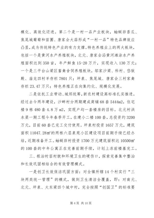 乡镇年度工作汇报.docx