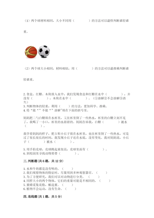 教科版小学科学一年级下册期末测试卷及参考答案【综合卷】.docx