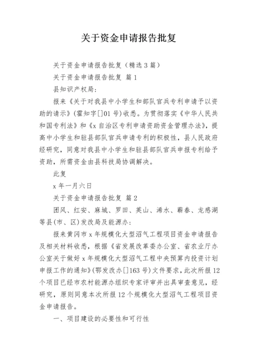 关于资金申请报告批复.docx