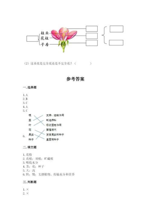 教科版四年级下册科学第一单元《植物的生长变化》测试卷精品（b卷）.docx